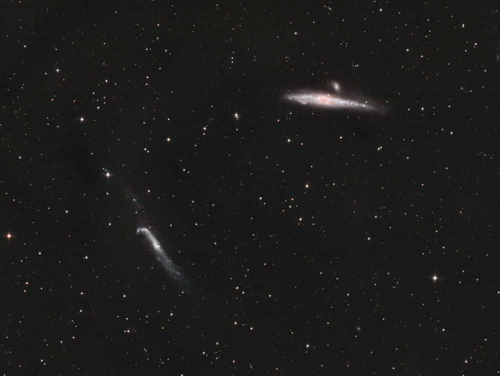 NGC 4631 и NGC 4656 "Кит" и "Лом или Хоккейная клюшка"