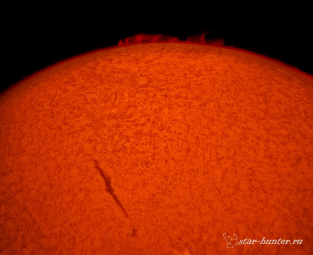 H-alpha Sun (31 aug 2015. 14:58)