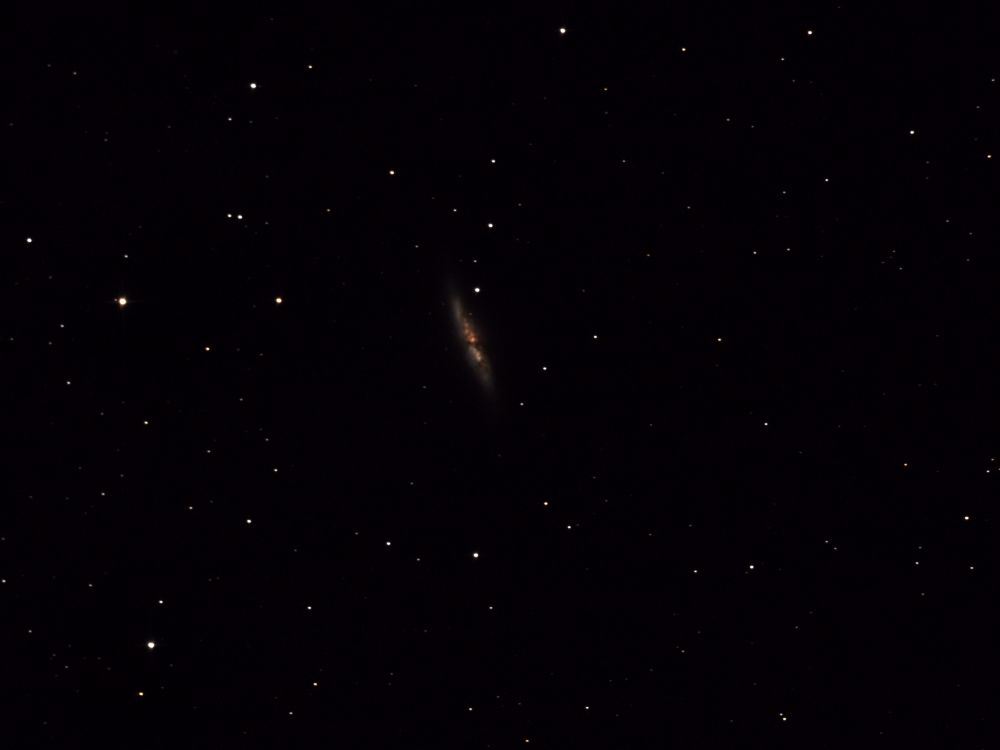 Galaxy Cigar (M82)