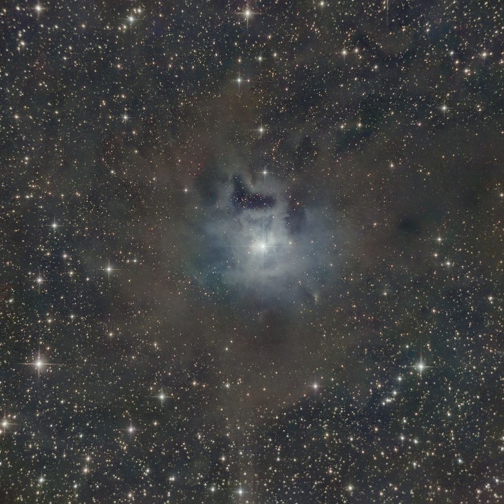 NGC7023 - Iris Nebula