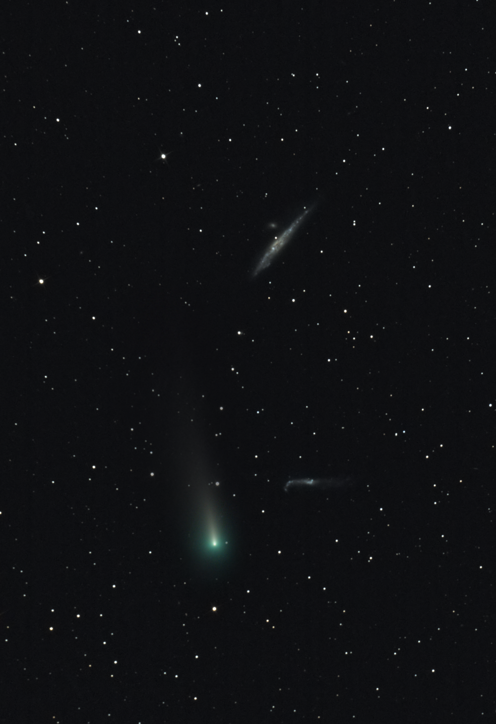 Комета С2021 А1 (Leonard) на фоне галактик NGC 4627 (галактика "Кит") и NGC 4656 (галактика "Лом") в созвездии Гончих Псов.