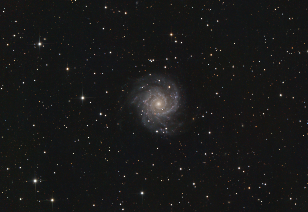 M74