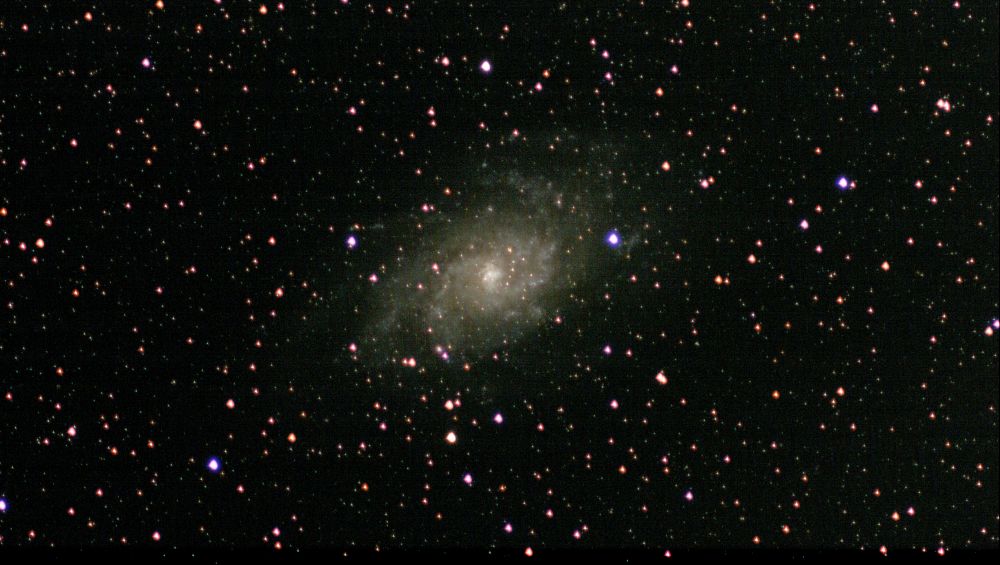 M33