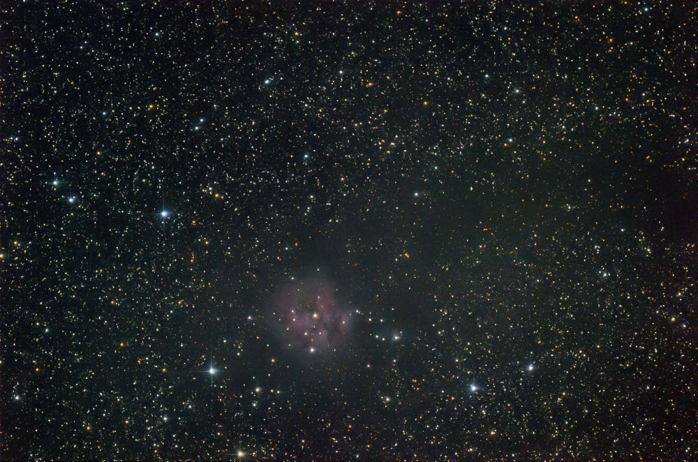 IC 5146. Cocoon Nebula.