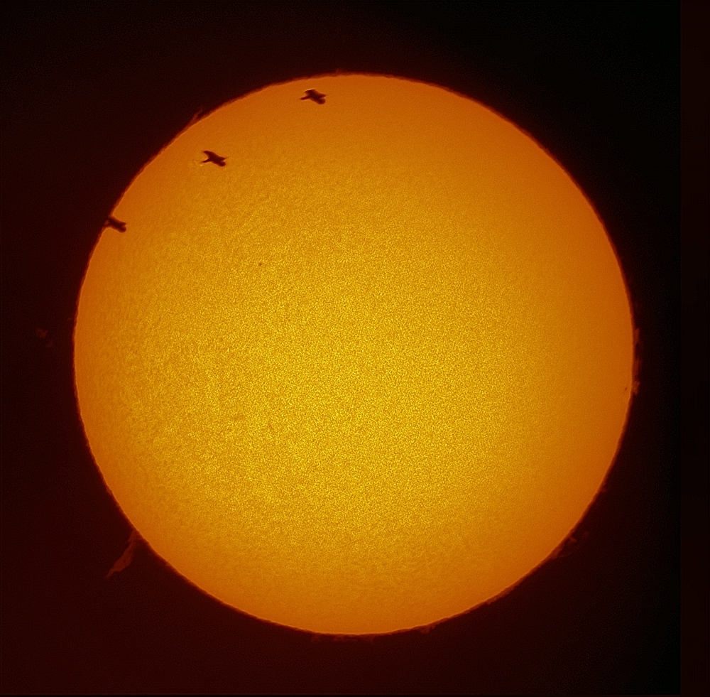 Солнце c пролетом птички от 17.03.2023