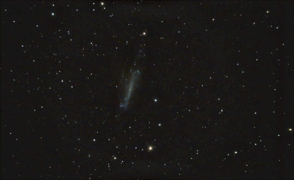 Галактика NGC 4236 в Драконе