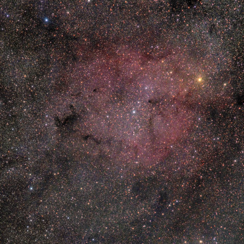 IC 1396, Хобот слона