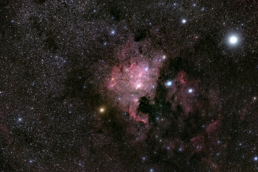 Денеб, 62Лебедя, туманности Северная Америка (NGC7000) и Пеликан (IC5070)