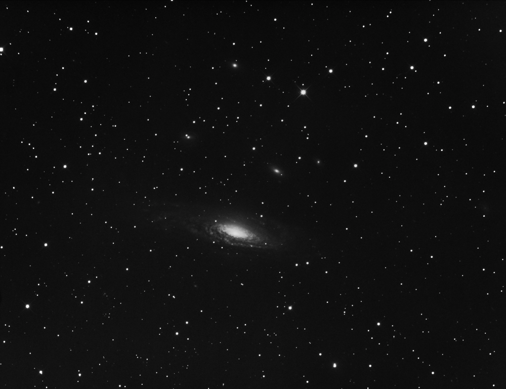 NGC 7331 Group