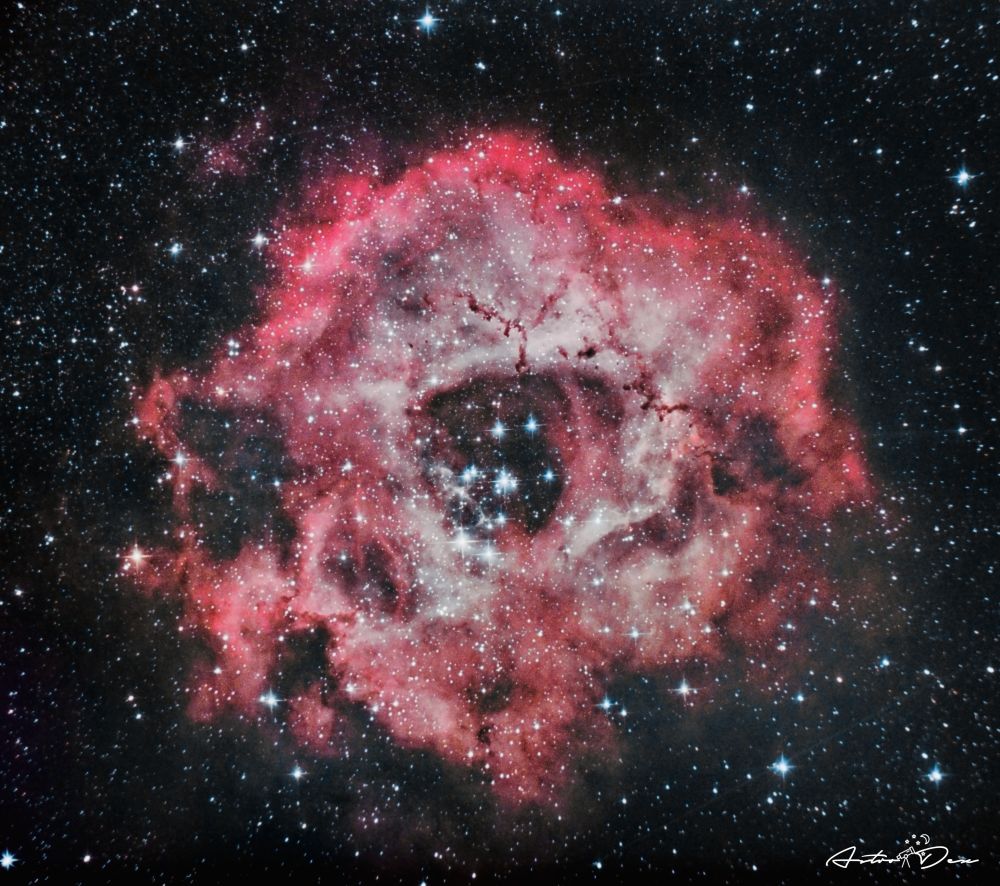 NGC 2237 Rosette nebula