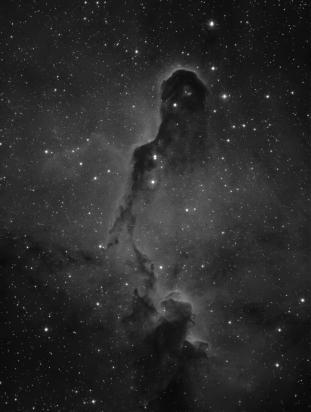 Collinder 439 (IC 1396 -The Elephant's Trunk Nebula) in Ha