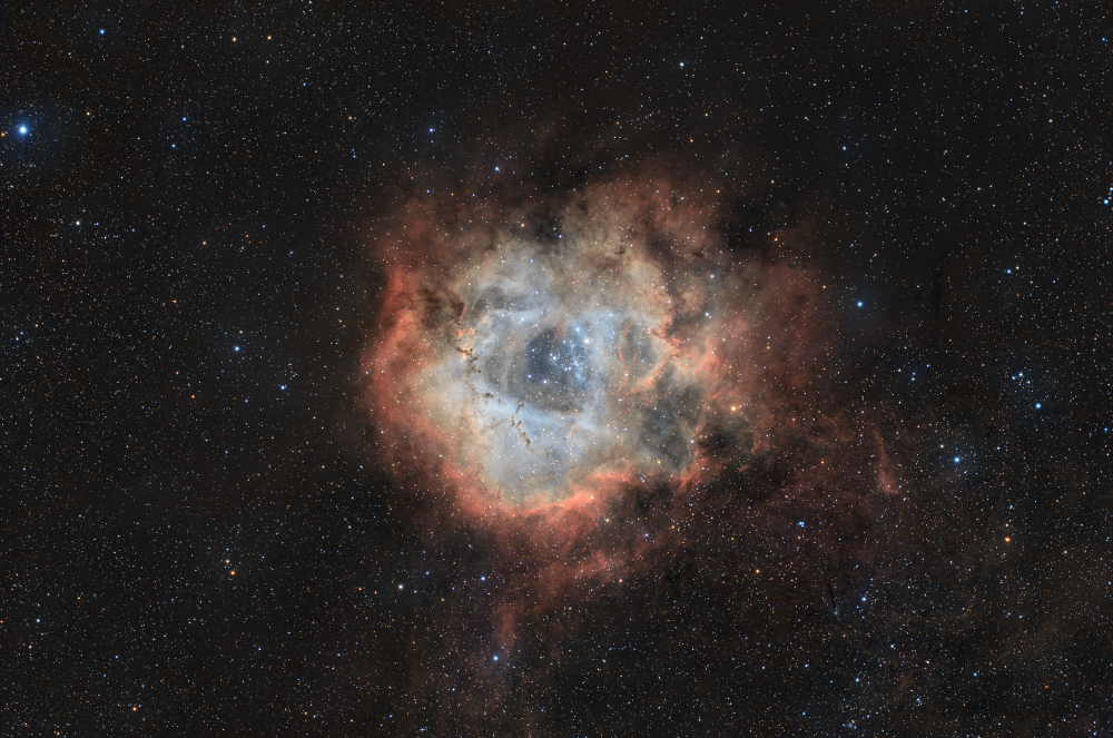 NGC 2237 - Rosette Nebula (Туманность Розетка)