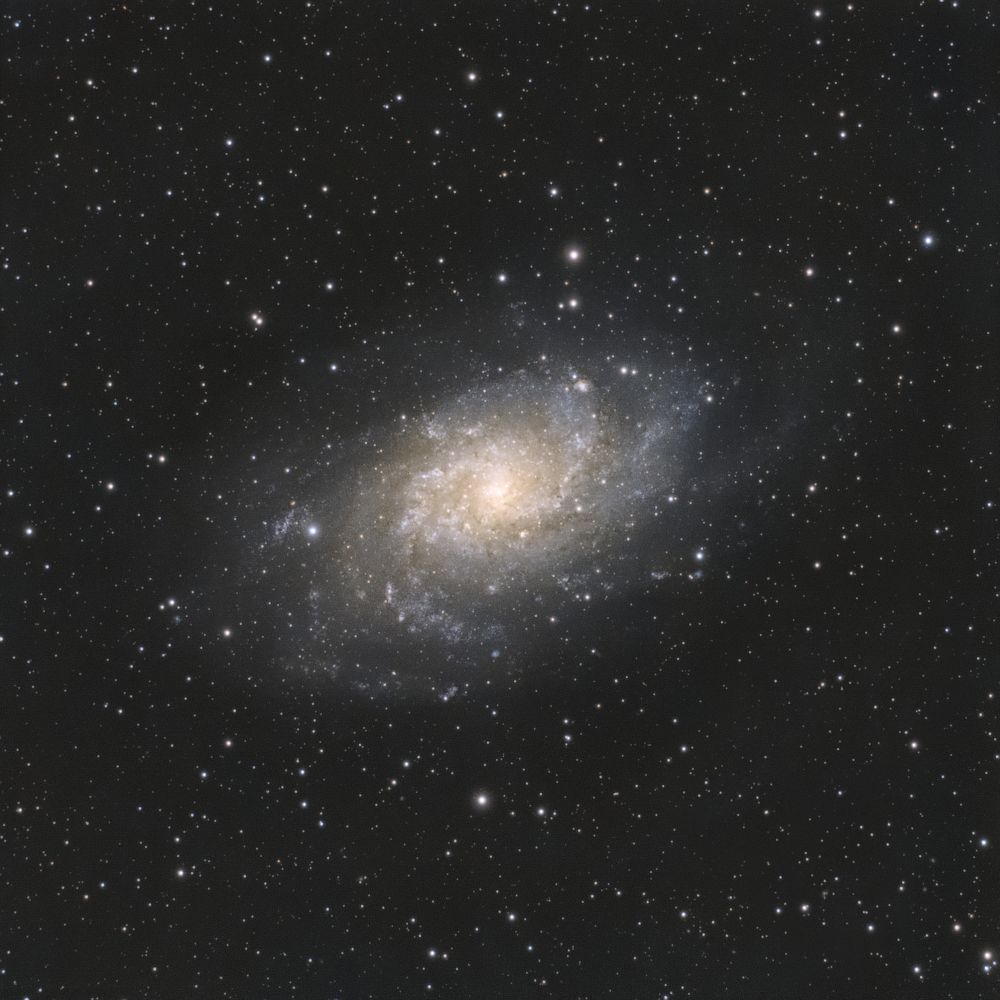 M33