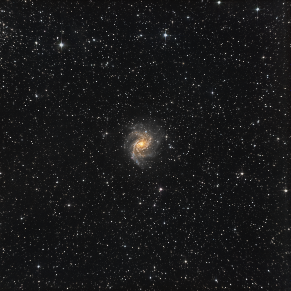 C12 / NGC6946 (Fireworks Galaxy)