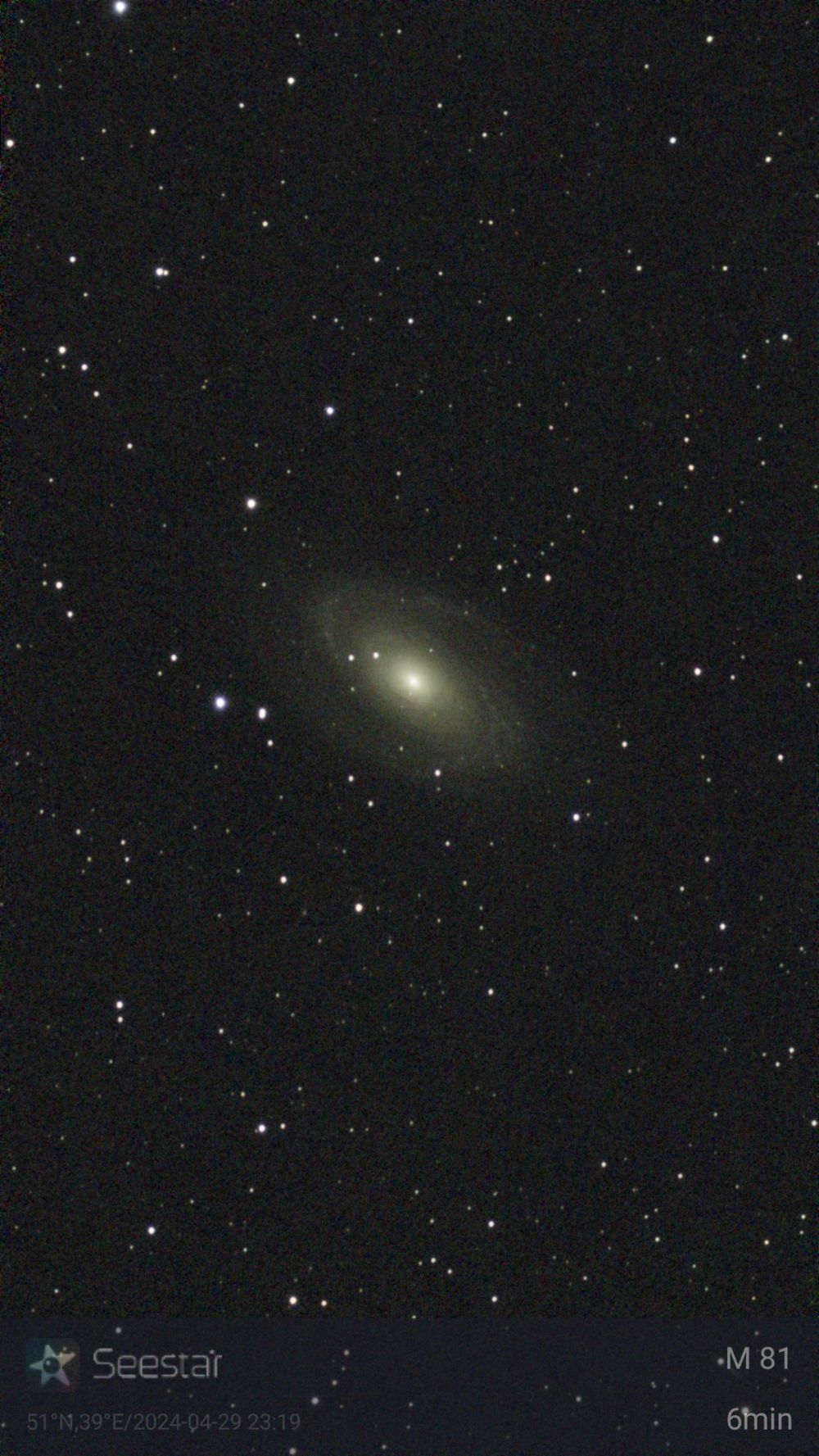 M81