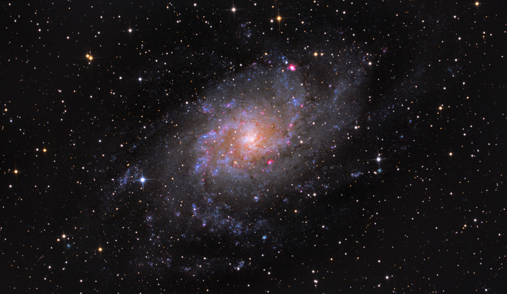 M33