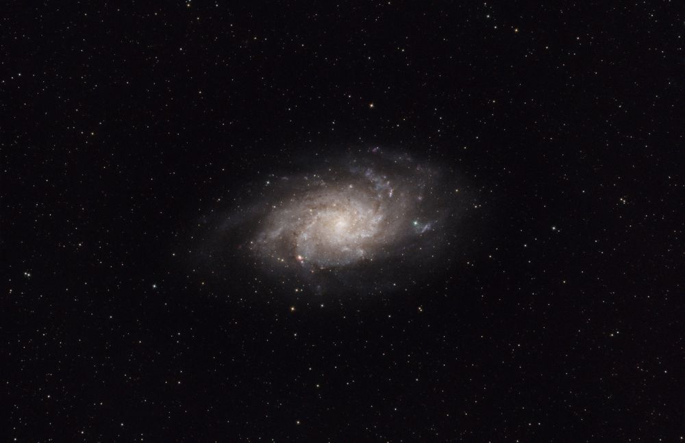 Галактика Треугольника (M 33, NGC 598)