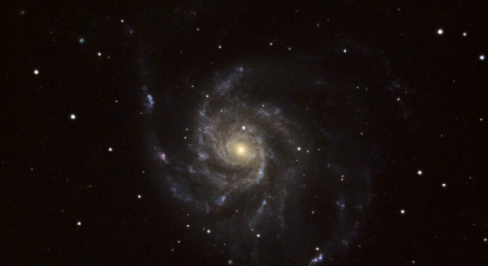 M101