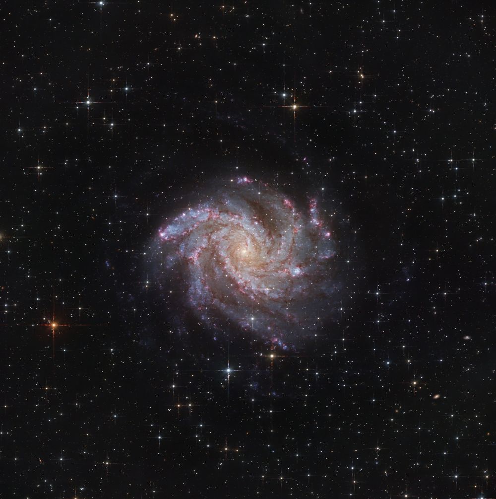 Галактика NGC6946 Фейерверк