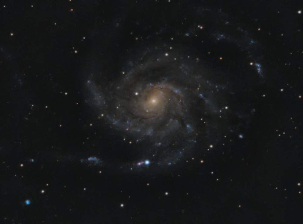 M101_SN2023IXF