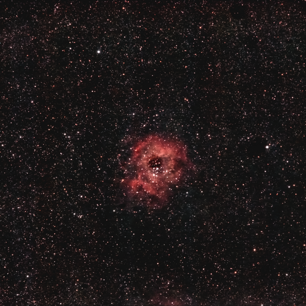 Туманность Розетка (NGC 2237) от 07-08.01.2024