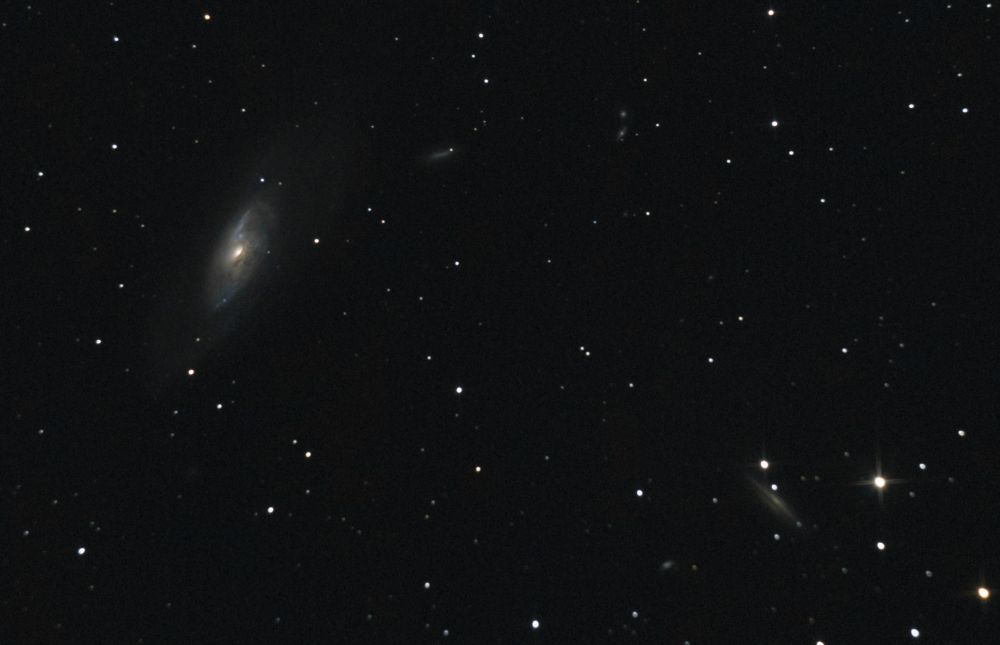 M106, NGC 4217