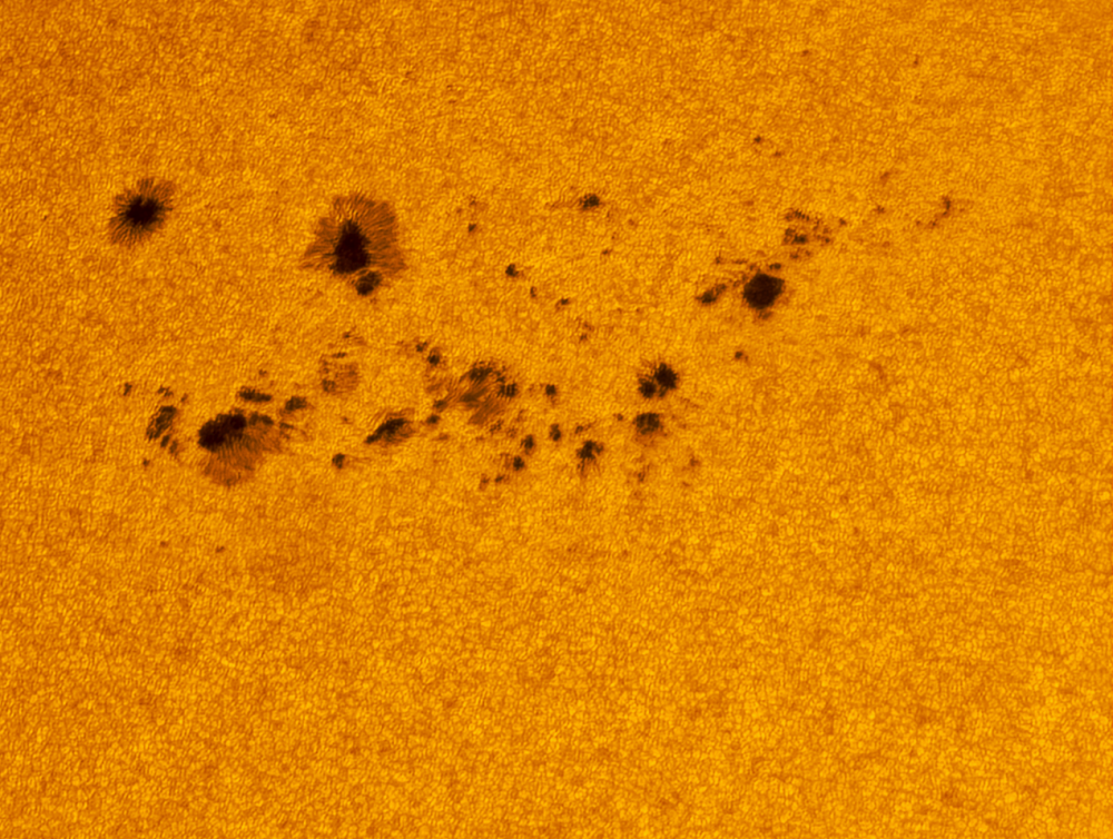 Sunspot region 3007