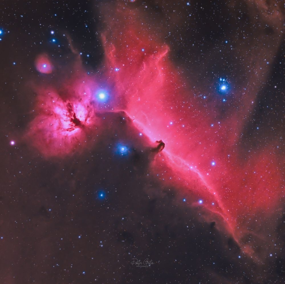 Horsehead & Flame nebulae
