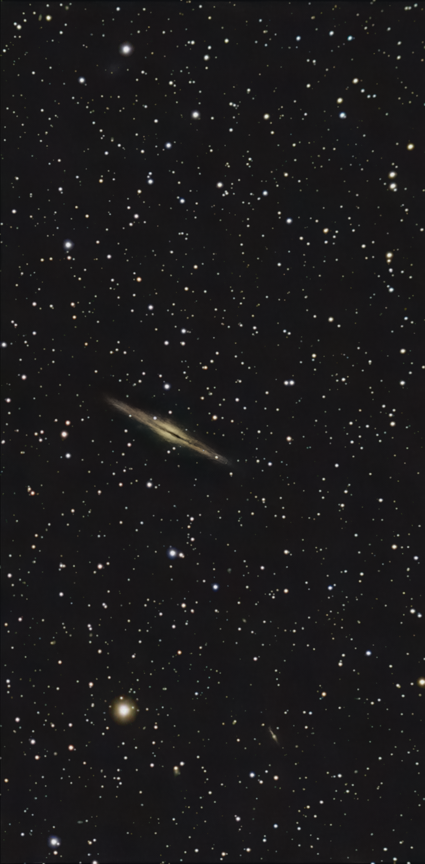 NGC 891