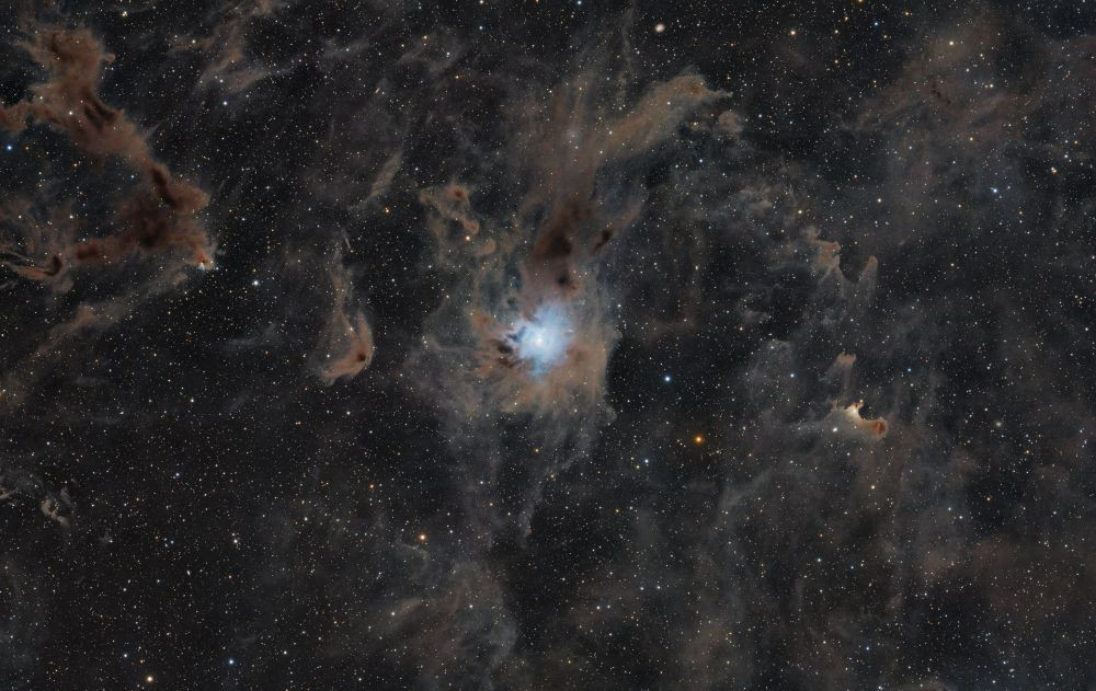 NGC 7023 Iris Nebula
