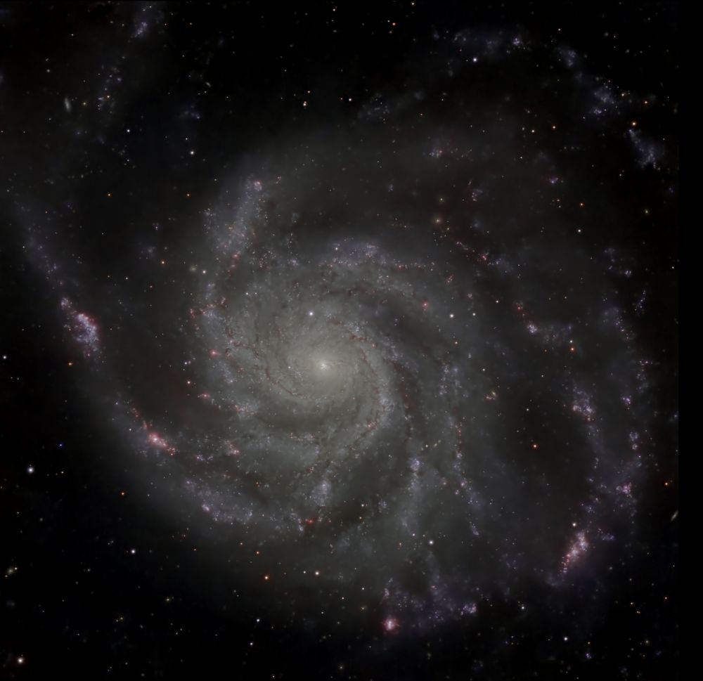 M101