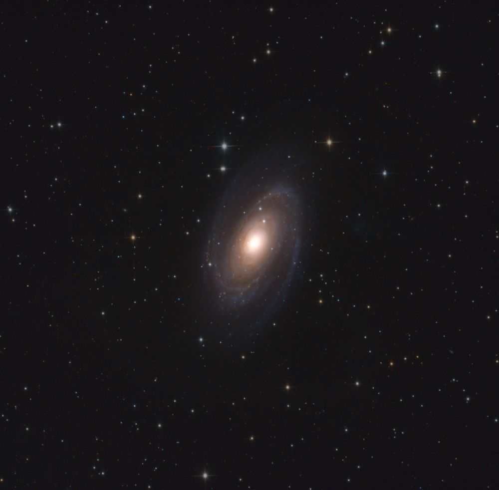 M81