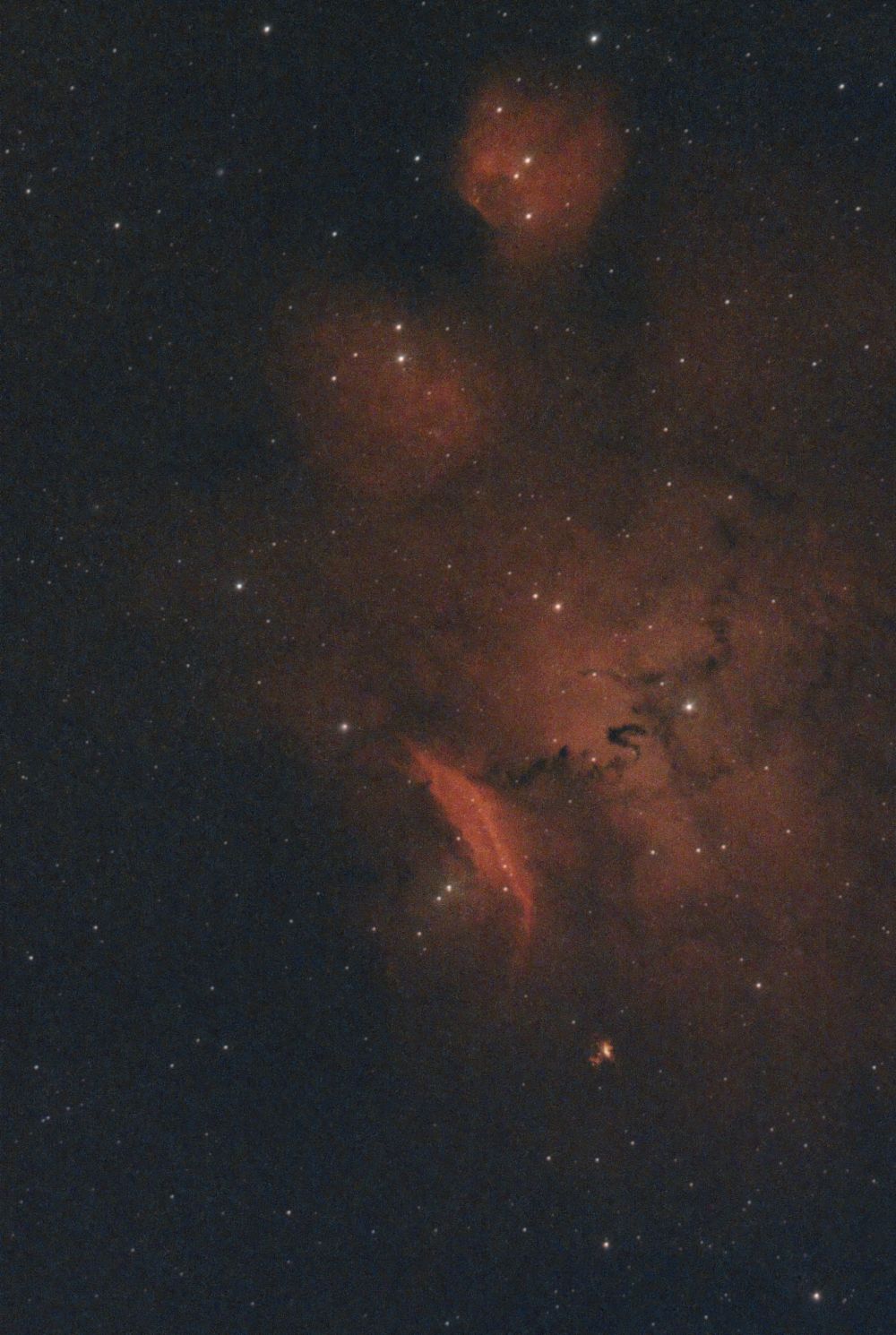 NGC 6559 Туманность Китайский Дракон