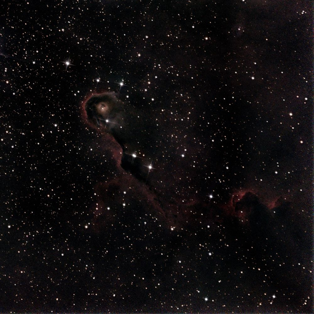 IC 1396A