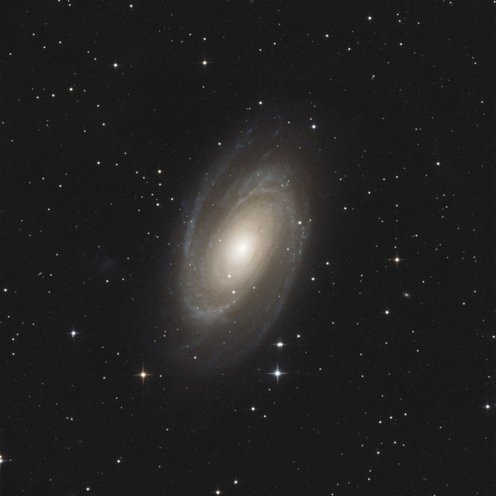 M 81