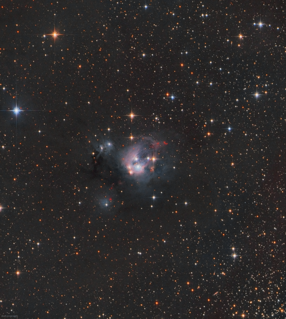 NGC 7129, «Валентинова роза»