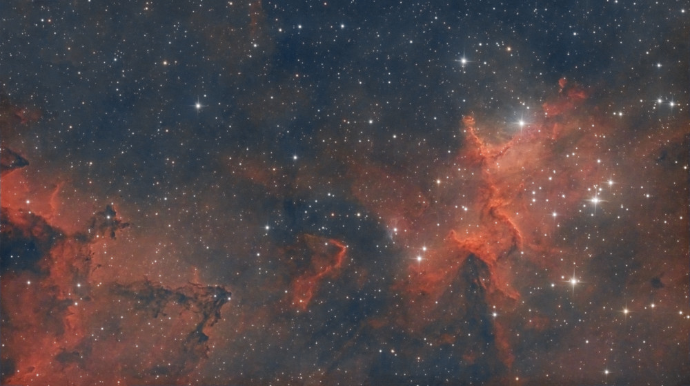 LDN 1373 - Astrophotography