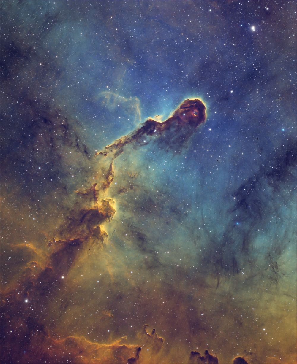 IC1396