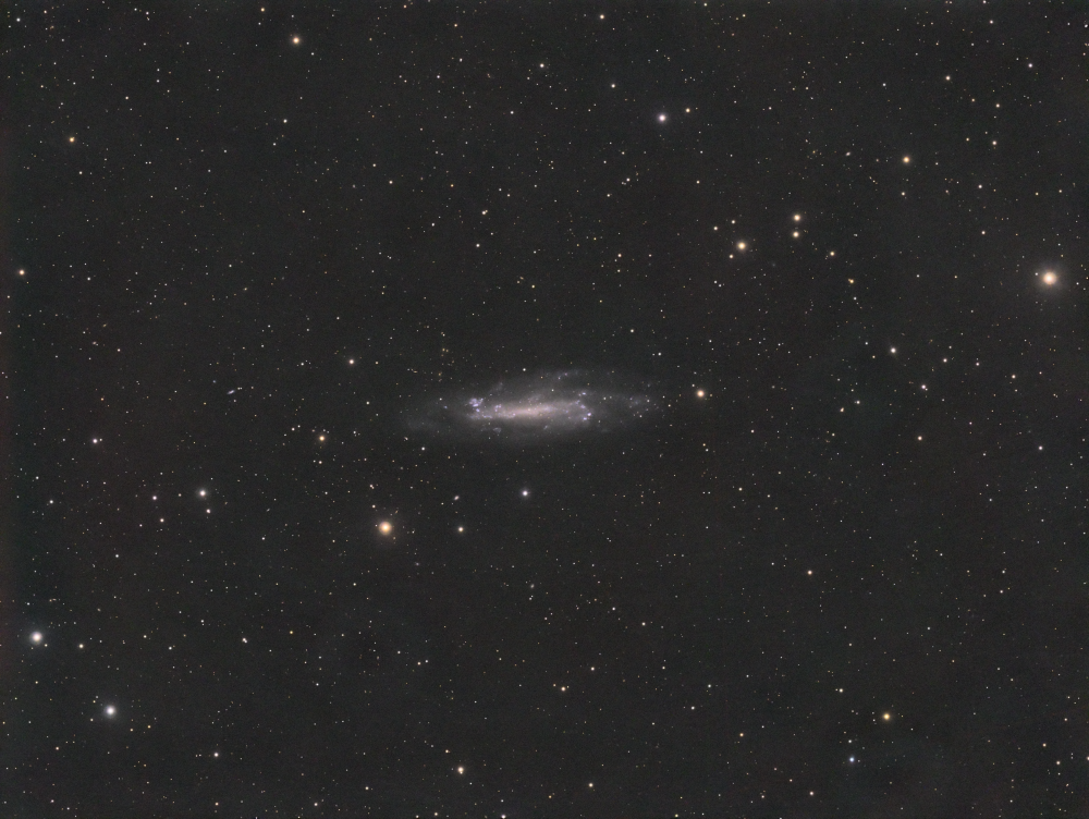 NGC4236  в Драконе