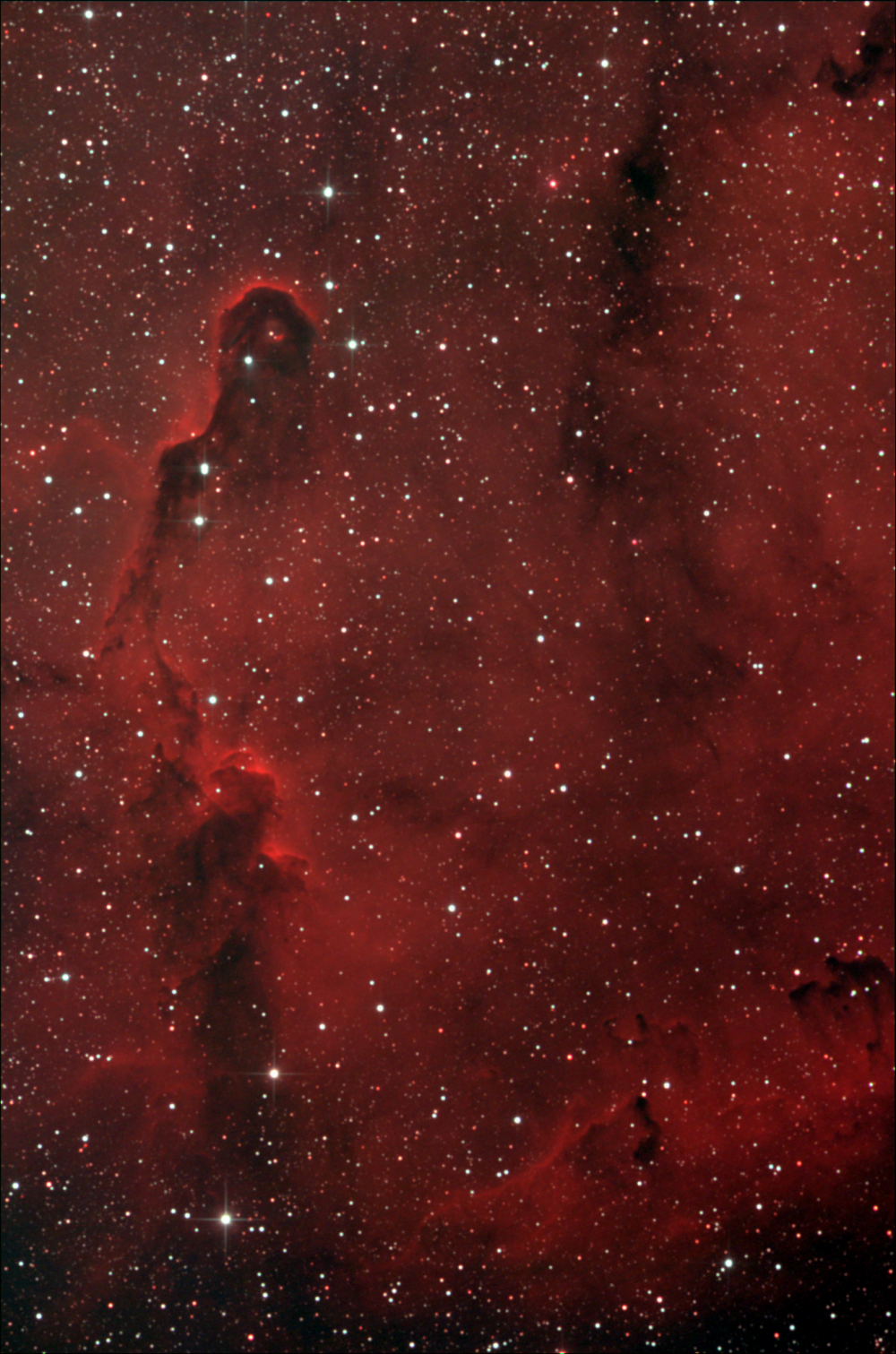IC 1396A. Туманность Хобот Слона.