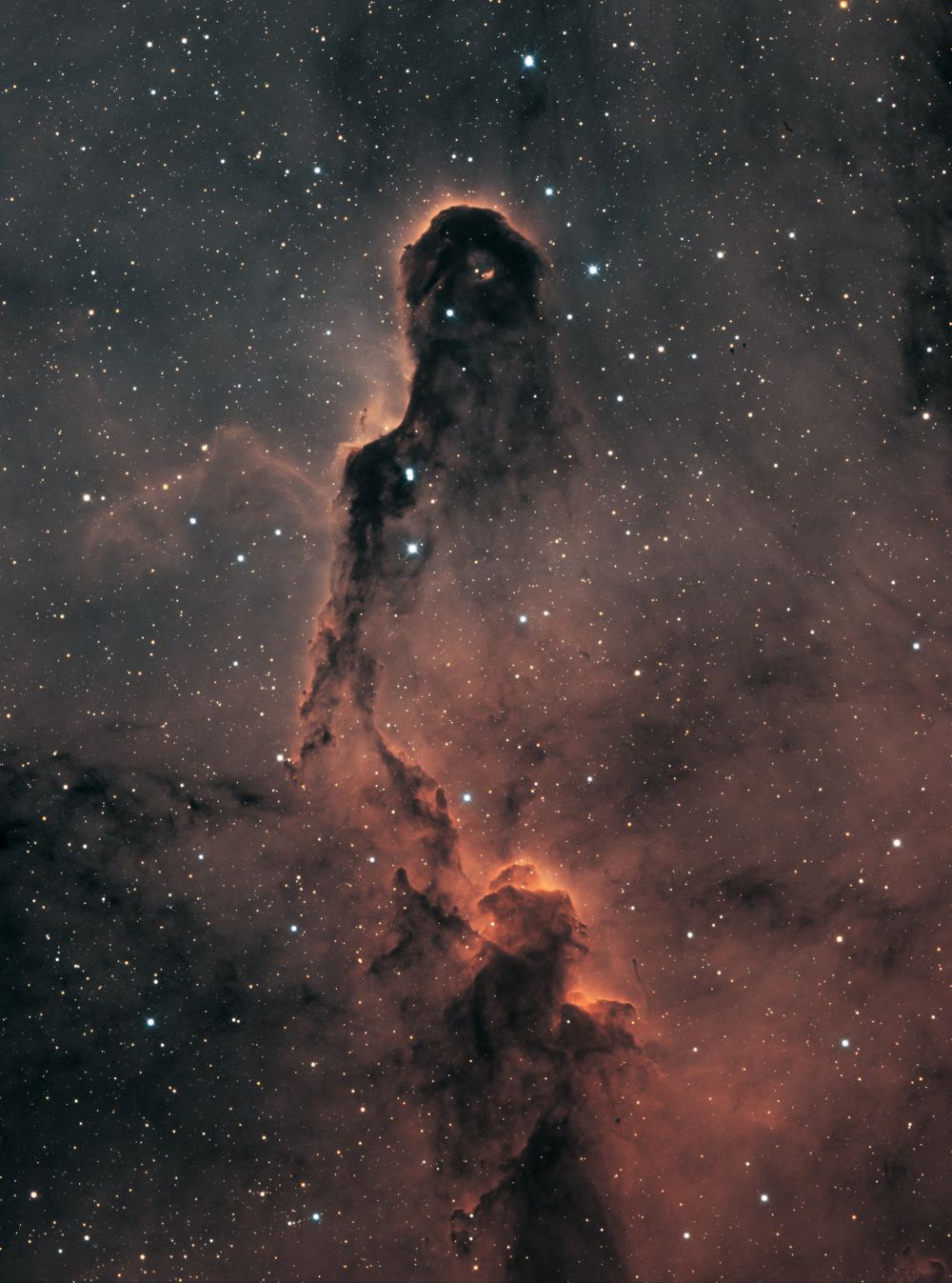 IC 1396 Elepant Trunk in Bi-Color (crop)