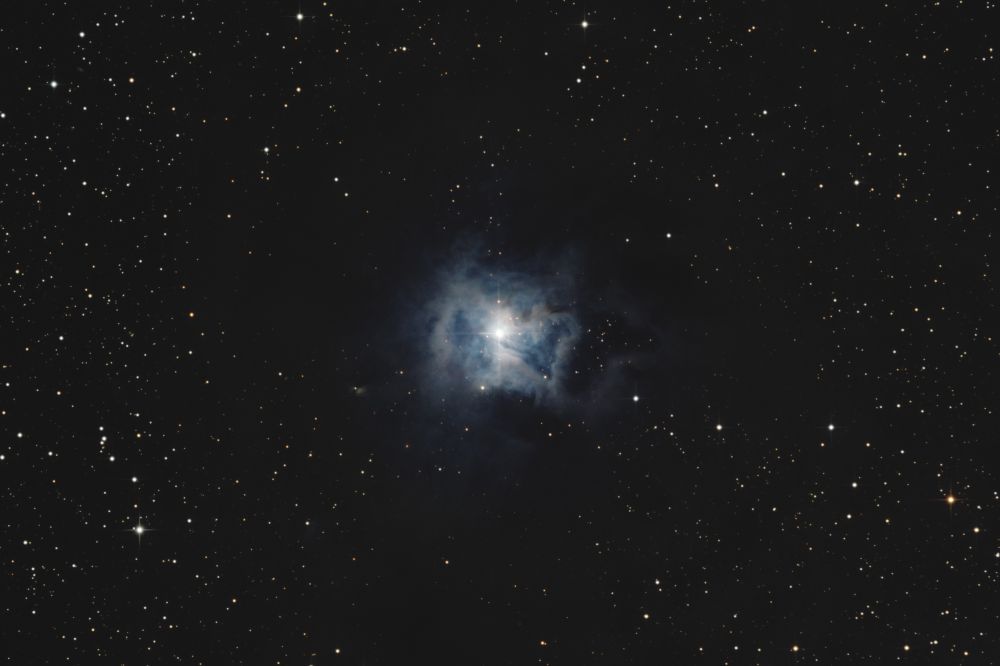 NGC7023 "Ирис"