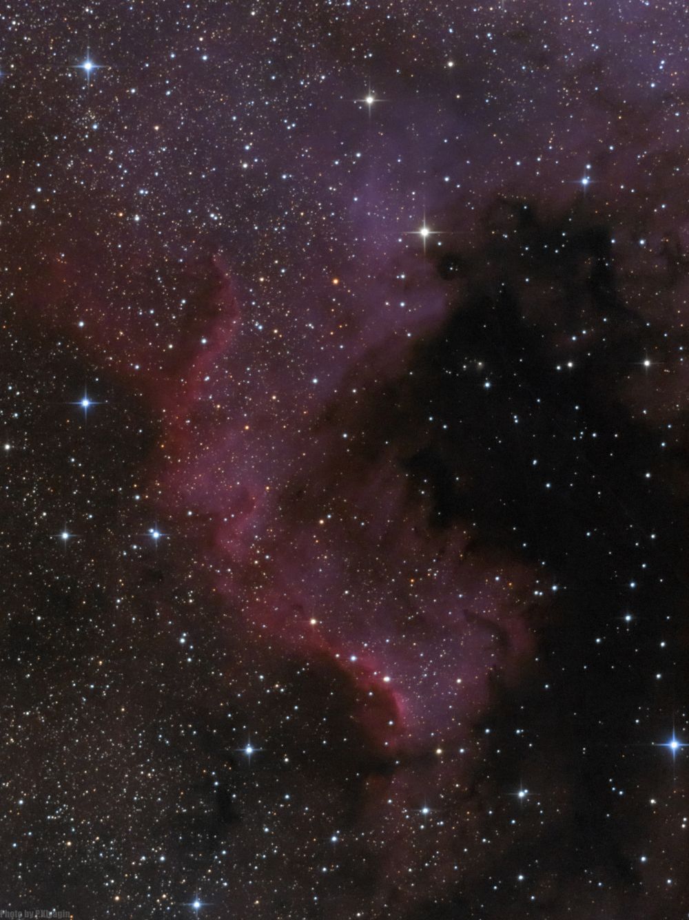 NGC7000 Часть туманности Северная Америка в созвездии Лебедя.