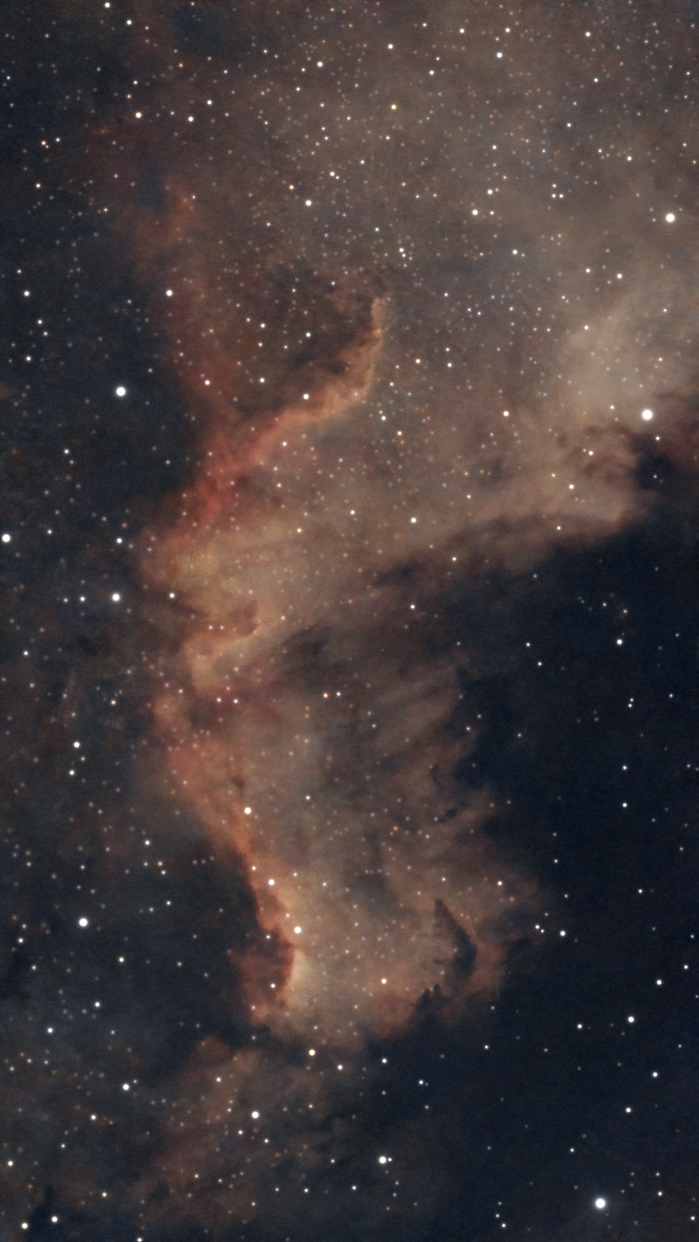 Part of NGC 7000