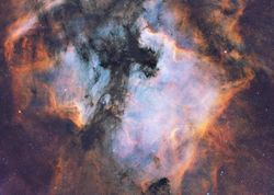 NGC 7000