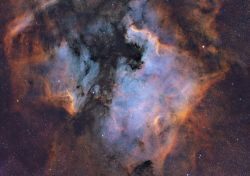 NGC 7000
