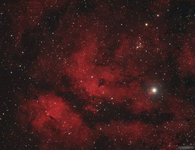 "Сердце Лебедя"