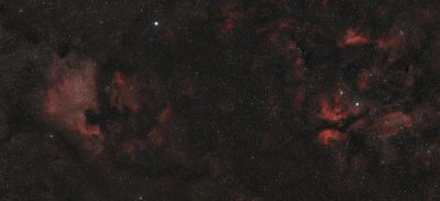 Мозаика в Лебеде