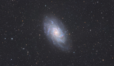 M 33 