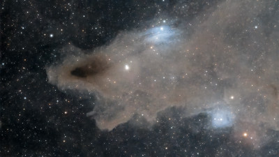 LDN 1235. Dark Shark nebula